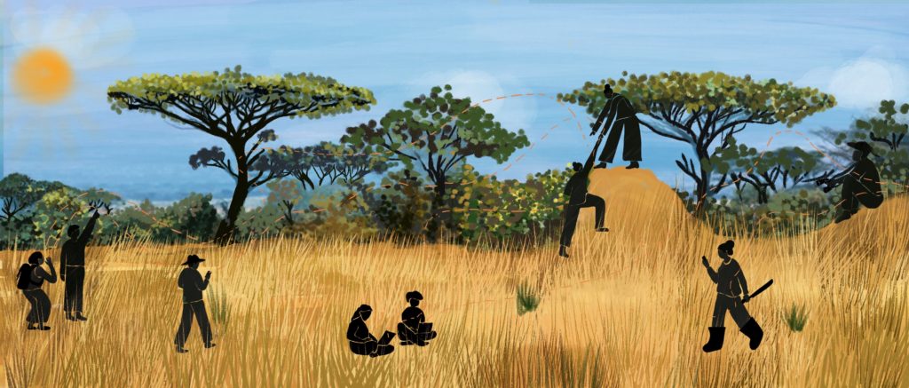 Comunidad - Earth Defenders Toolkit